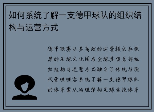 如何系统了解一支德甲球队的组织结构与运营方式